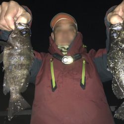 「今日は釣れるでー」と